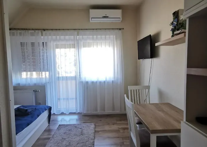 Kovacs Apartmanhaz 公寓