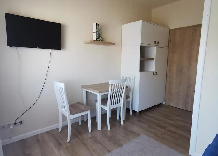 公寓 Kovacs Apartmanhaz *